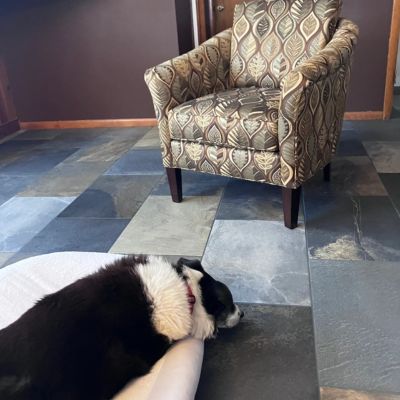 customer review tile floors with chair and dog